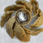 Best Fried or Steamed Dumplings (8) in Hornell, NY