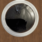 Best Eel Sauce in Hornell, NY